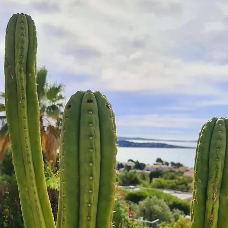 Magnifique Appartement Vue Mer - Grande Terrasse Et Piscine Bandol Buitenkant foto