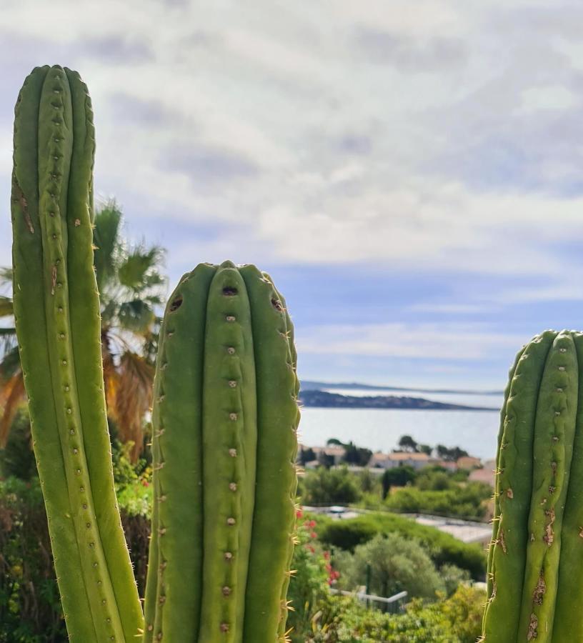 Magnifique Vue - Grande Terrasse Et Piscine Bandol